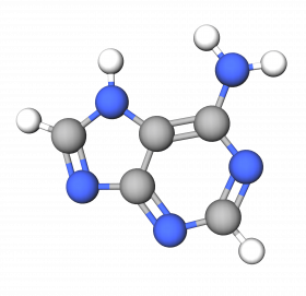 Adenine