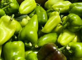 Capsicum Annuum Fruit