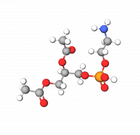 Cephalin