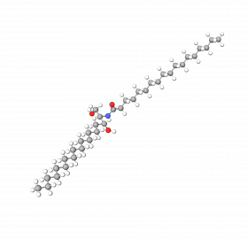 Ceramide NS