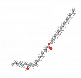 Cetyl Ricinoleate
