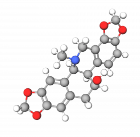 Chelidonine