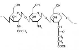 Chitosan Succinamide