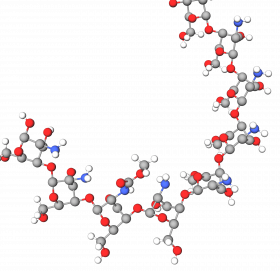 Chitosan