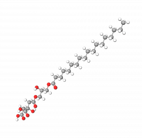 Glyceryl Stearate Citrate