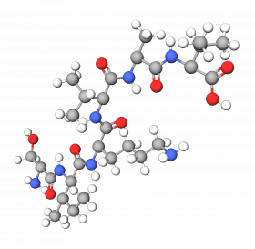 Hexapeptide-10