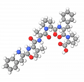 Hexapeptide-11