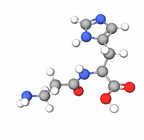 ß-alanyl-L-histidine