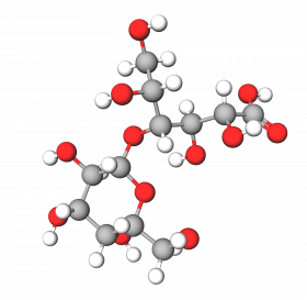Lactobionic Acid