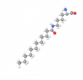 Lauroyl Lysine
