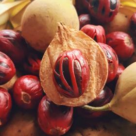 Nutmeg