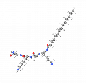 Myristoyl Tetrapeptide-12