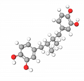 Nordihydroguaiaretic Acid