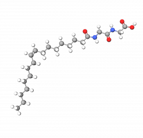 Glycylglycine oleamide | Relastide®