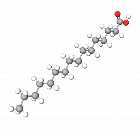 Palmitic acid