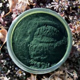 Spirulina powder