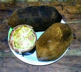 Cupuacu seeds