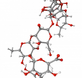 Biosaccharide Gum-1