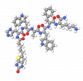 Biotinoyl Hexapeptide-2 Amide