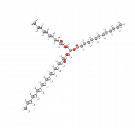 C10-18 Triglycerides