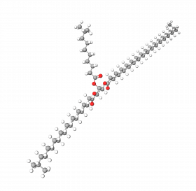 C10-40 Isoalkyl Acid Triglyceride