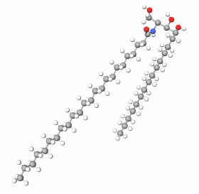 Ceramide III