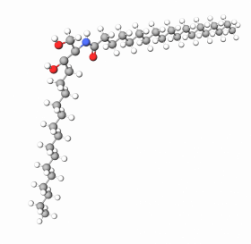 Ceramide 2 (NG)