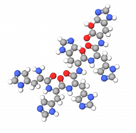 Hexapeptide-40