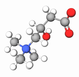 L-Carnitine