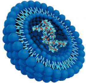 Liposomed RNA