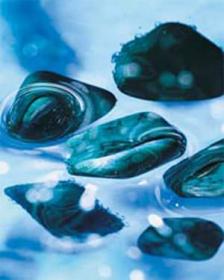 Mala’Kîte™ (Malachite extract)