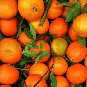 Mandarin fruits