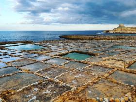 Sea salt production