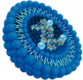 Liposome Triple DNA