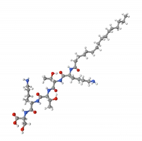 Palmitoyl-KTTKS; Matrixyl®