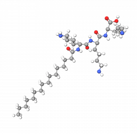 Palmitoyl Trilysine