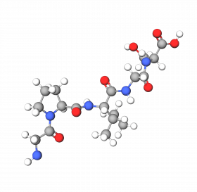 Gly-Pro-Ile-Gly-Ser (GPIGS)