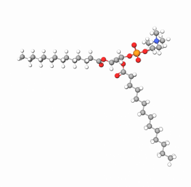 Phosphatidylcholine