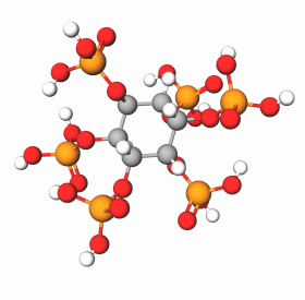 phytic acid