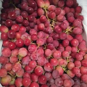 Red grapes