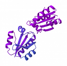rh-Thioredoxin