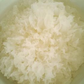 Snow mushroom (Tremella Fuciformis)