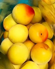 Japanese apricot - Ume