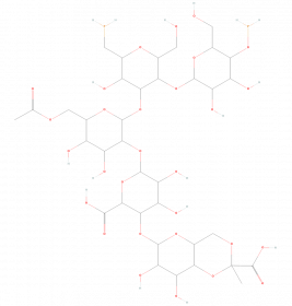 Xanthan Gum