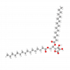 Ascorbyl Dipalmitate Ascorbyl Dipalmitate