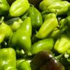 Capsicum Annuum Fruit