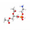 Cephalin