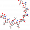 Chitosan