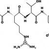 Decapeptide-19