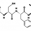 Octapeptide-11